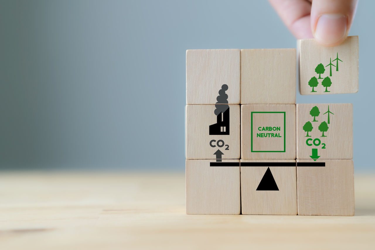 Crediti di carbonio come funzionano i token per azzerare la produzione di gas serra